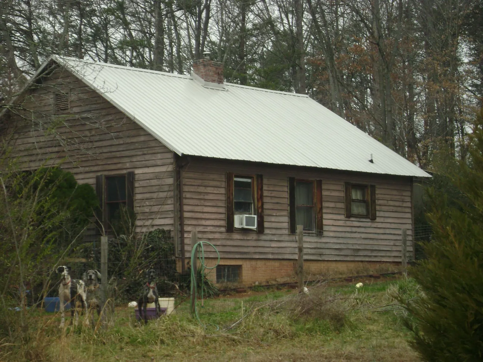 White metal roof on an old wood sided farmhouse, from a Asphalt Shingle Roof Repair job in Montana Mines